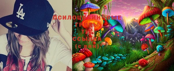 винт Алексин